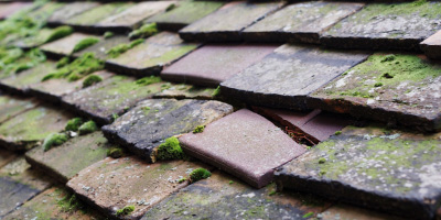 Clifton Hampton roof repair costs